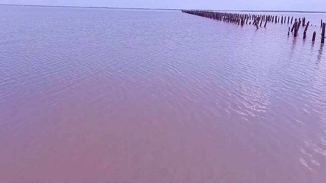 Хит для озера Сасык-Сиваш в Крыму. А вы видели это чудо смотреть онлайн