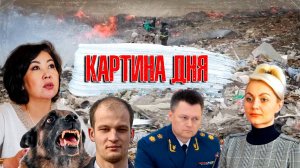 Картина дня: лишение степени, сроки чиновникам, эвтаназия собак, кража 900 млн и высокие зарплаты