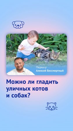 Можно ли гладить уличных котов и собак?