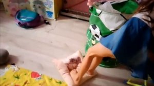 Пол это лава 2