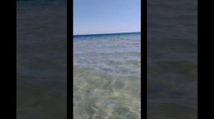 Море,Море,Море.mp4