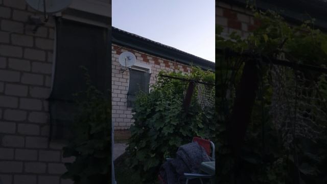 1000168028.mp4 смотреть онлайн