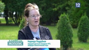 Экополис: озеленение ЧерМК