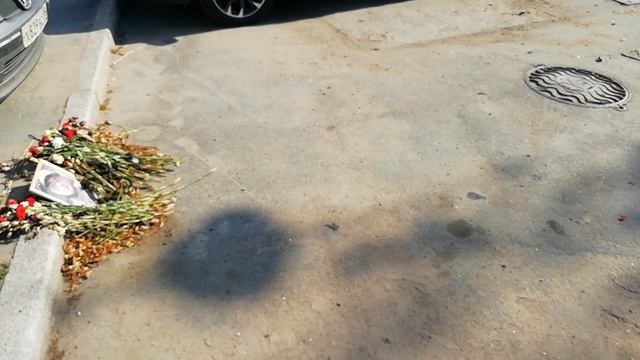 Паша-Road to Film. смотреть онлайн