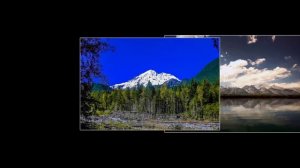 Desert Rose - Breath of Life