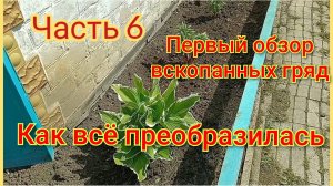Первый обзор вскопанных гряд!Как всё преобразилась 🏡🌿