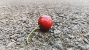 Черешня на асфальте | ягода
