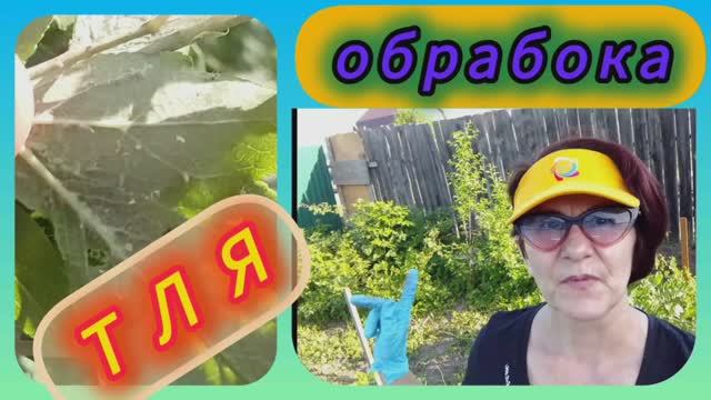 Тля на плодовых деревьях. Средство борьбы.