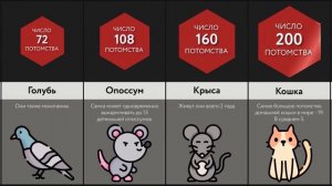 Самые Плодовитые Существа