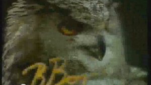 Заставка Что? Где Когда? (90-тые)