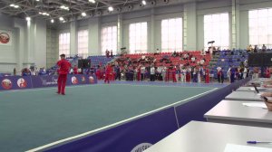 Международный турнир "Московские звезды ушу 2025"