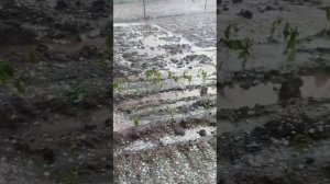 Последствия от града в Белорецке