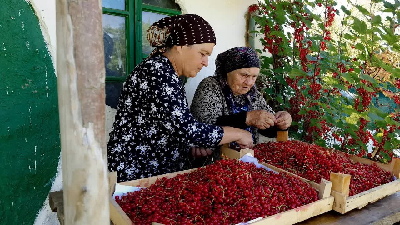 10 Килограммов Красной Смородины: Приготовление Желе и Пирога с Бабушкой