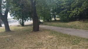 Покрутило.mp4