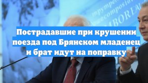 Пострадавшие при крушении поезда под Брянском младенец и брат идут на поправку