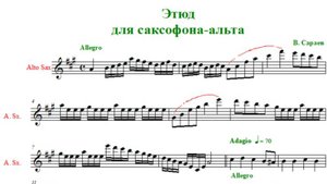 В. Сараев "Этюд"