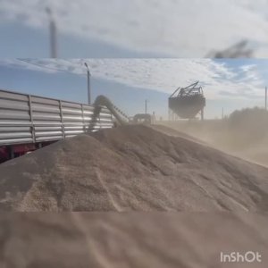 Загрузка зерна