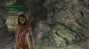 Fallout 4: Баг чёрное лицо. Решение проблемы ?