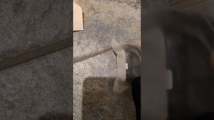 Распаковка Redmi watch 5 lite (часы)