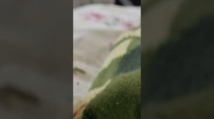Завтрак с Марсом