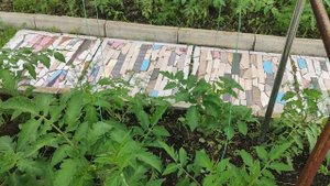 Затеняющую сетку на зиму убираем.