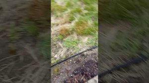 1000021767.mp4