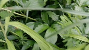 Прекрасное начало лета!💐🌸🌷