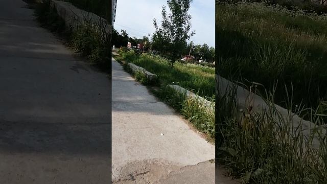 VID_20250605_082257