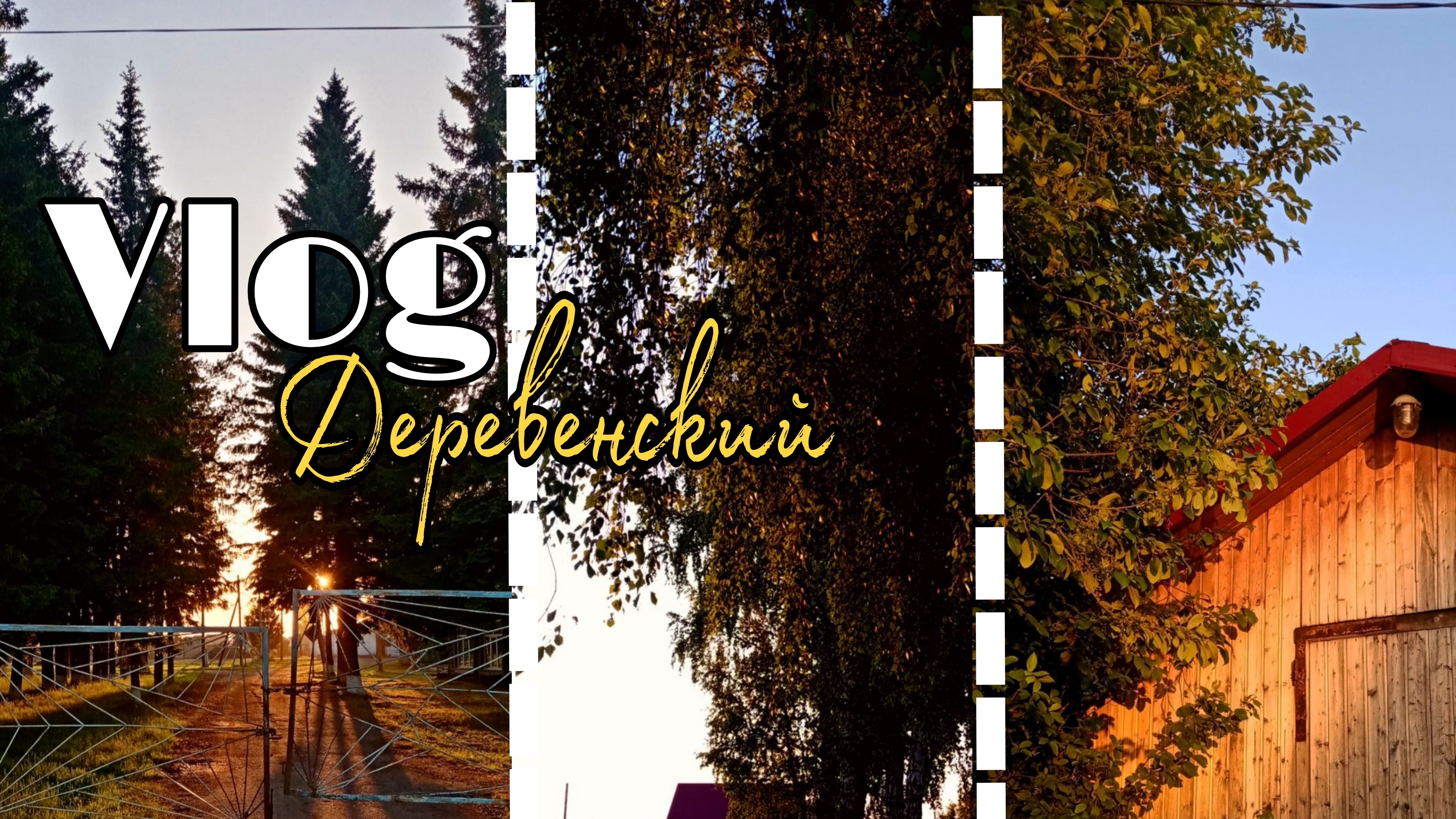 Vlog: Деревенский || Посадили помидоры, лук,картошку смотреть онлайн