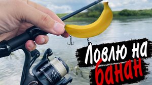 Рыбалка НА БАНАН! Рыба дуреет от ЭТОЙ ПРИМАНКИ Рыбалка на спиннинг 2025