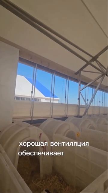 Роль размещения оборудования в коровнике из тентового ангара смотреть онлайн