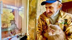 Мы забрали Люсю домой, радости от встречи с Маней,Степой и Тосей нет предела