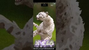 Обработка гепарда WildCraft