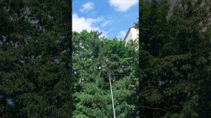 прогулка  часть вторая