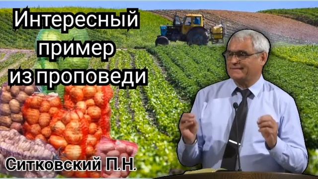 Как брат ходил воровать овощи. П. Н. Ситковский. Пример