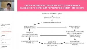 Защита и поддержка женского организма - Фемалин.