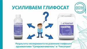 Усиливаем глифосат: сравнение действия "Суперсмачивателя" и "Тиксотропа"