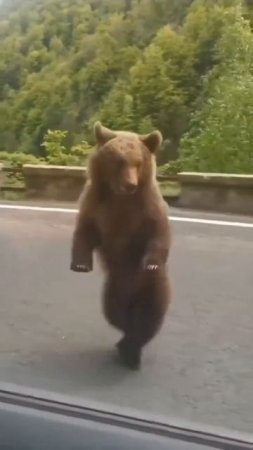 подпишись и поставь лайк💖