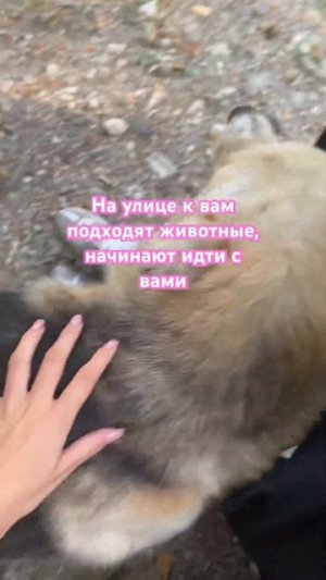 Они всё чувствуют