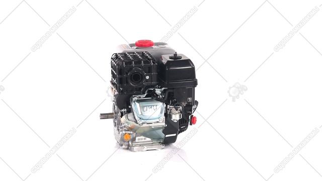 Бензиновый двигатель EVOline GB 460 VE 3D обзор.
