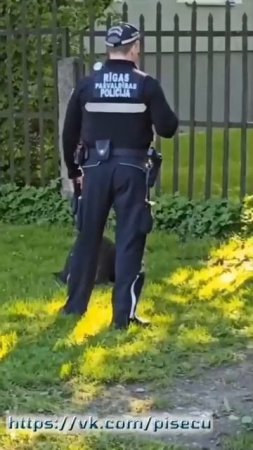 В Латвии полицейские задержали бобра.