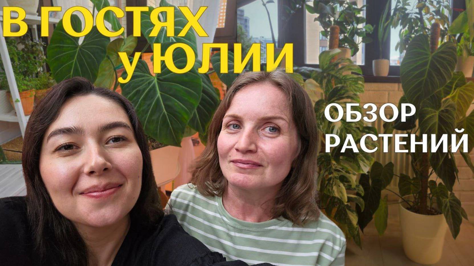 уютная КВАРТИРА с РАСТЕНИЯМИ | БАЛКОН, витрина, ТЕНТ и ИНТЕРЬЕР с растениями | в гостях У ЮЛИИ 🪴