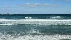 When The Waves Roll Out To Sea (Когда волны катятся к морю) & Benny Andersson & Harmonica Tombo