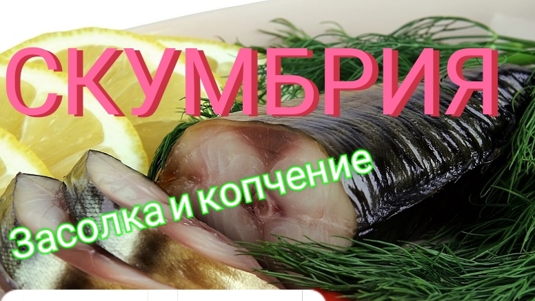 Скумбрия холодного копчения, от А до Я, от засолки до  копчения дома. #14.mp4