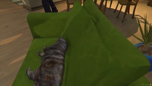 FlazinЯ СПАС БЕДНОГО КОТЁНКА В ГТА 5 ! Я СТАЛ КОТОМ НА 24 ЧАСА В GTA 5 ! 2 ЧАСТЬ