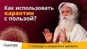 Как провести время в карантине с максимальной пользой