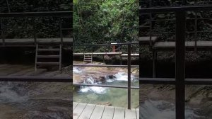 Красивые водопады