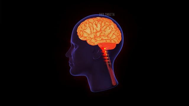 🎧 МАТРИЦА ГАРЯЕВА ОТ ТИНИТУСА – ИЗБАВЛЕНИЕ ОТ ШУМА В