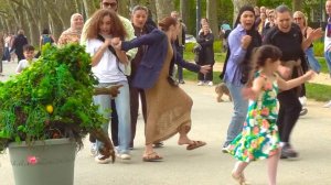 Розыгрыш прохожих - ЖИВОЕ ДЕРЕВО. Лучшие реакции людей