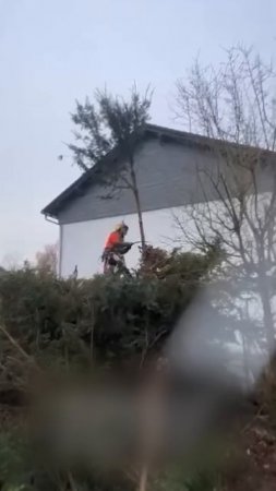 С ними все в порядке ✋